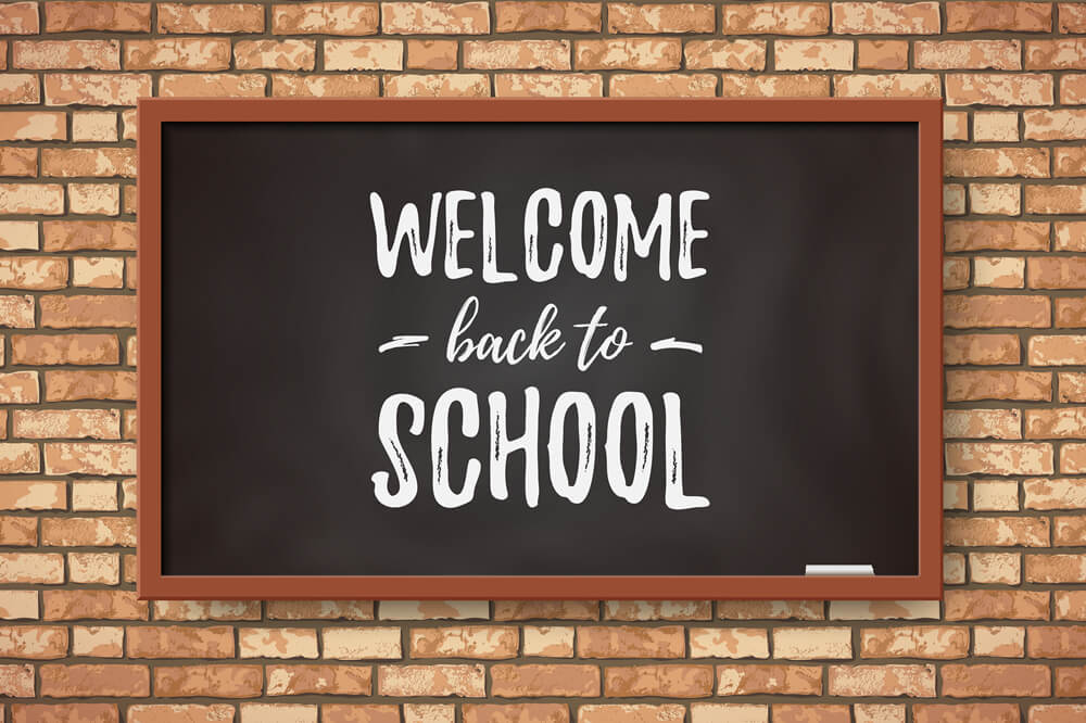 Welcome Back to School Chalkboard Backdrop RR6-28