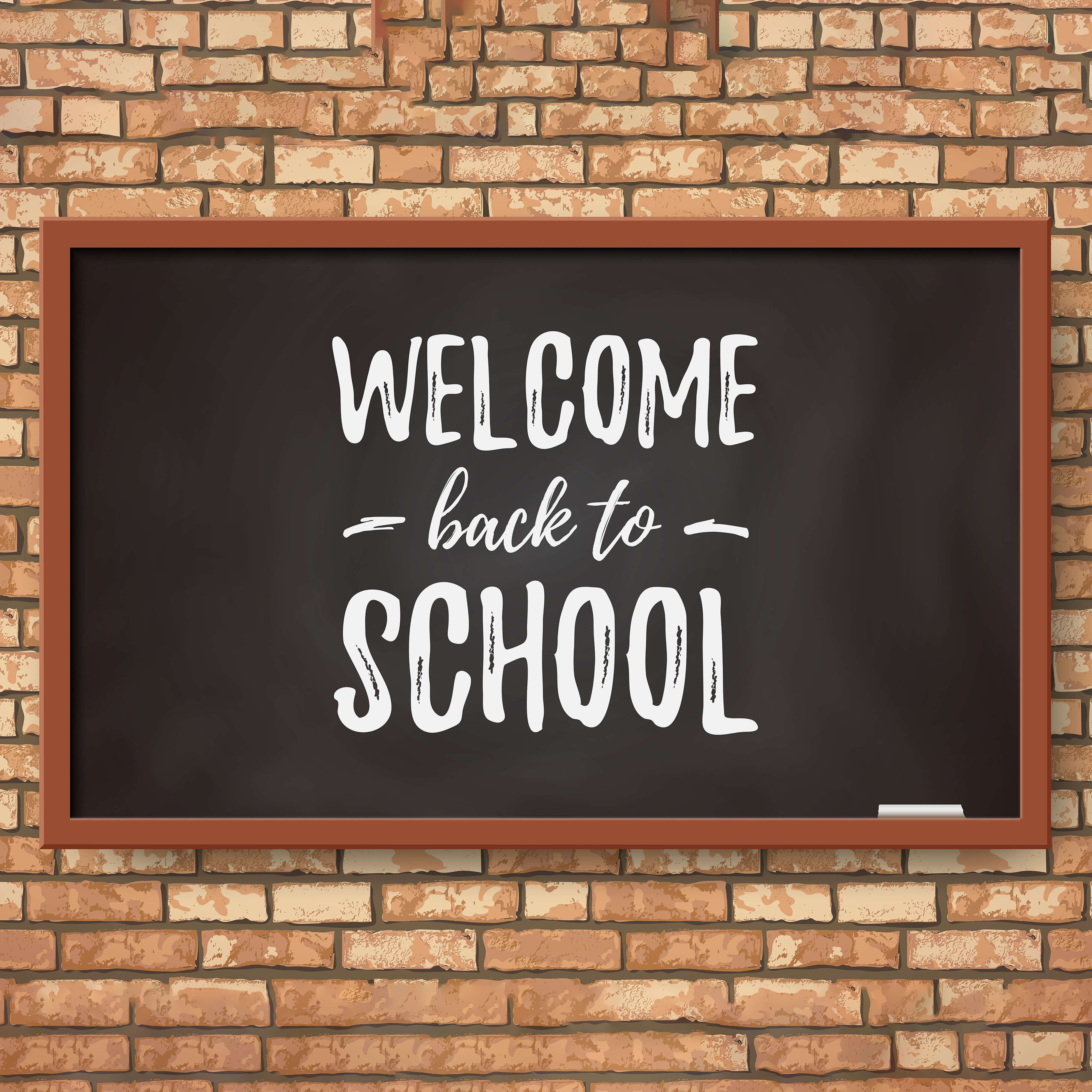 Welcome Back to School Chalkboard Backdrop RR6-28