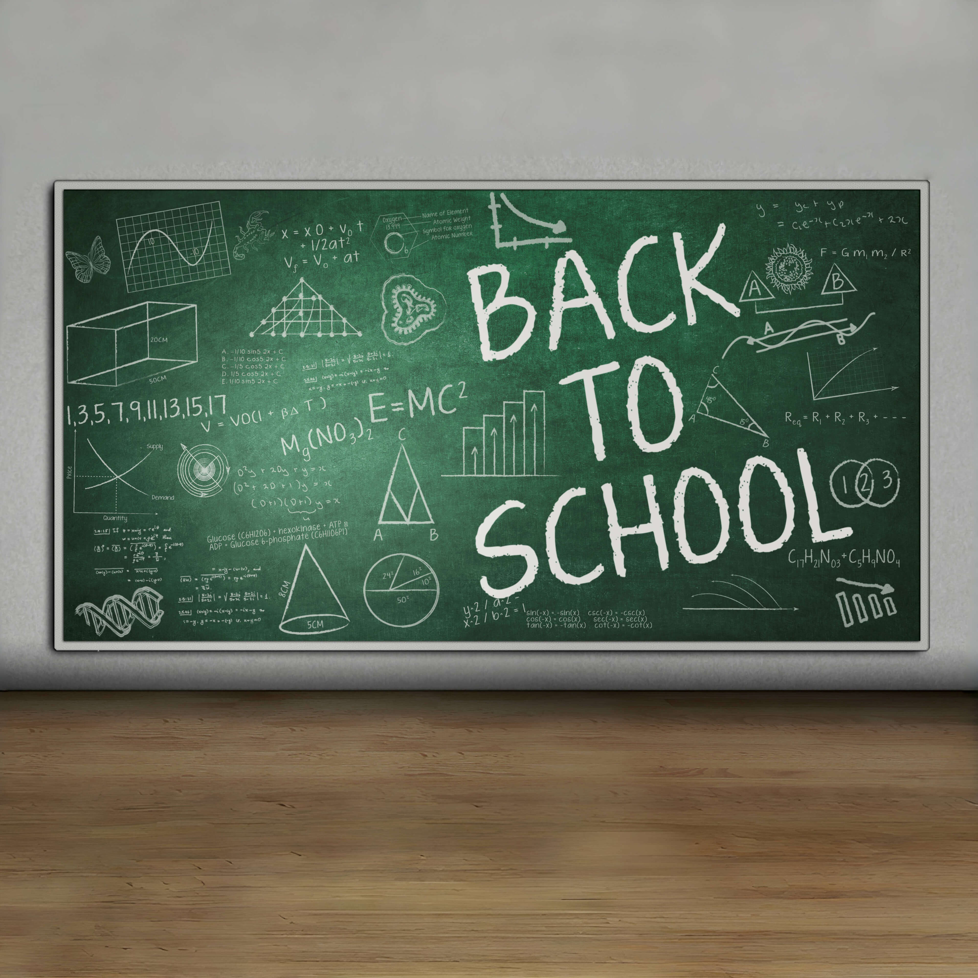 Back to School Chalkboard Photography Backdrop RR6-42