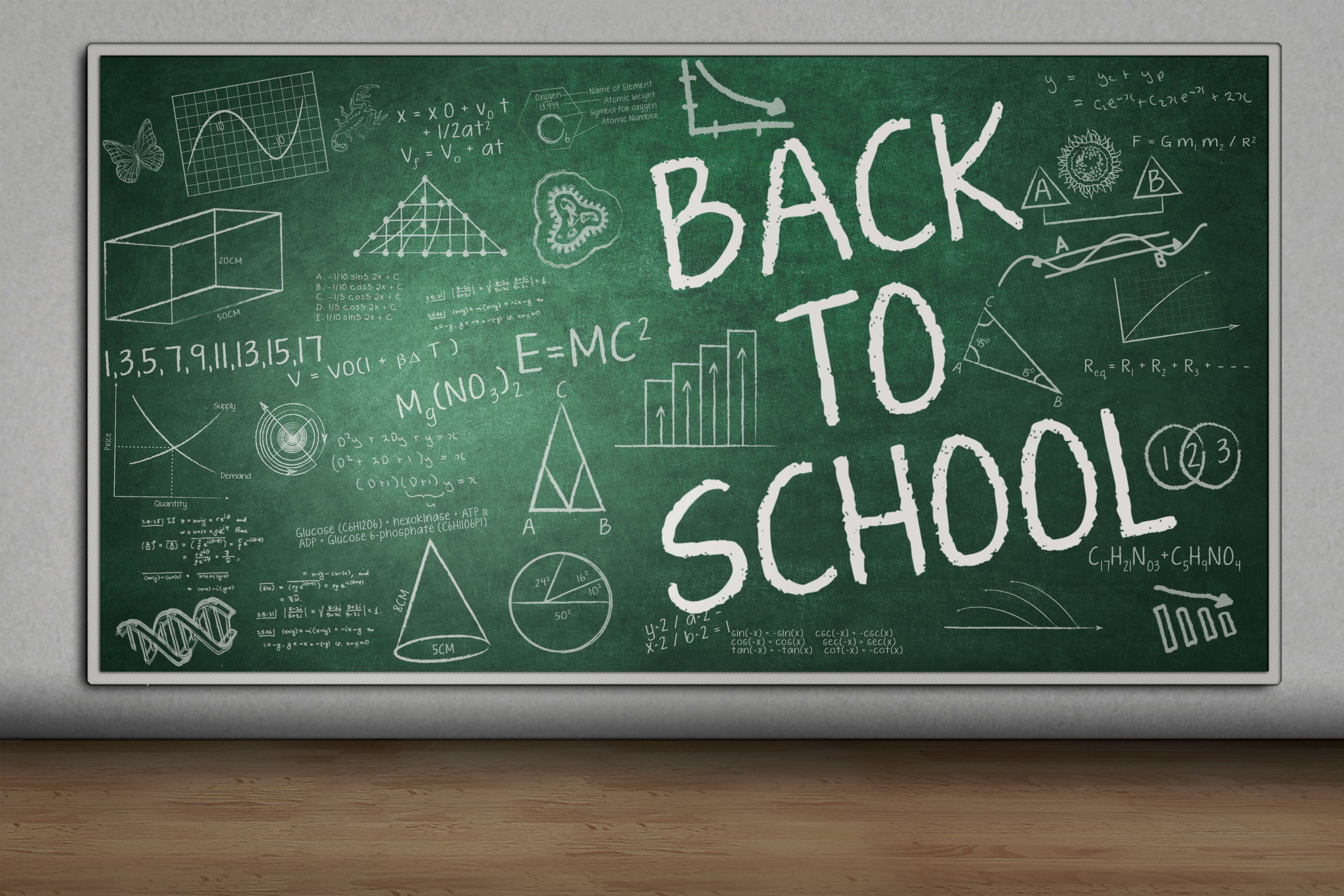 Back to School Chalkboard Photography Backdrop RR6-42