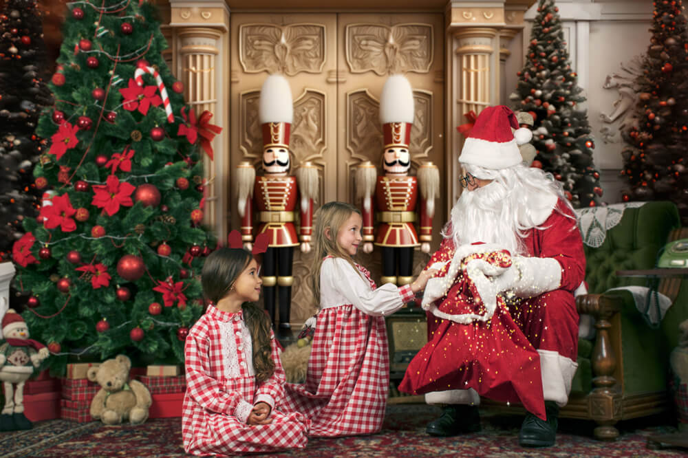 Christmas Nutcracker Doll Photography Backdrop RR6-53