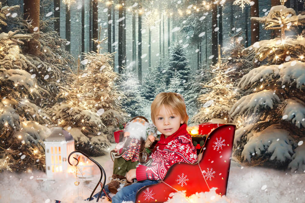 Winter Snowy Forest Snowflake Lights Backdrop RR6-60