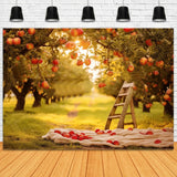 Autumn Apple Trees Field Sunshine Backdrop RR7-153