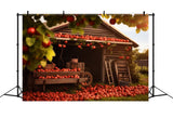 Fall Fruits Harvest Wooden House Backdrop RR7-154