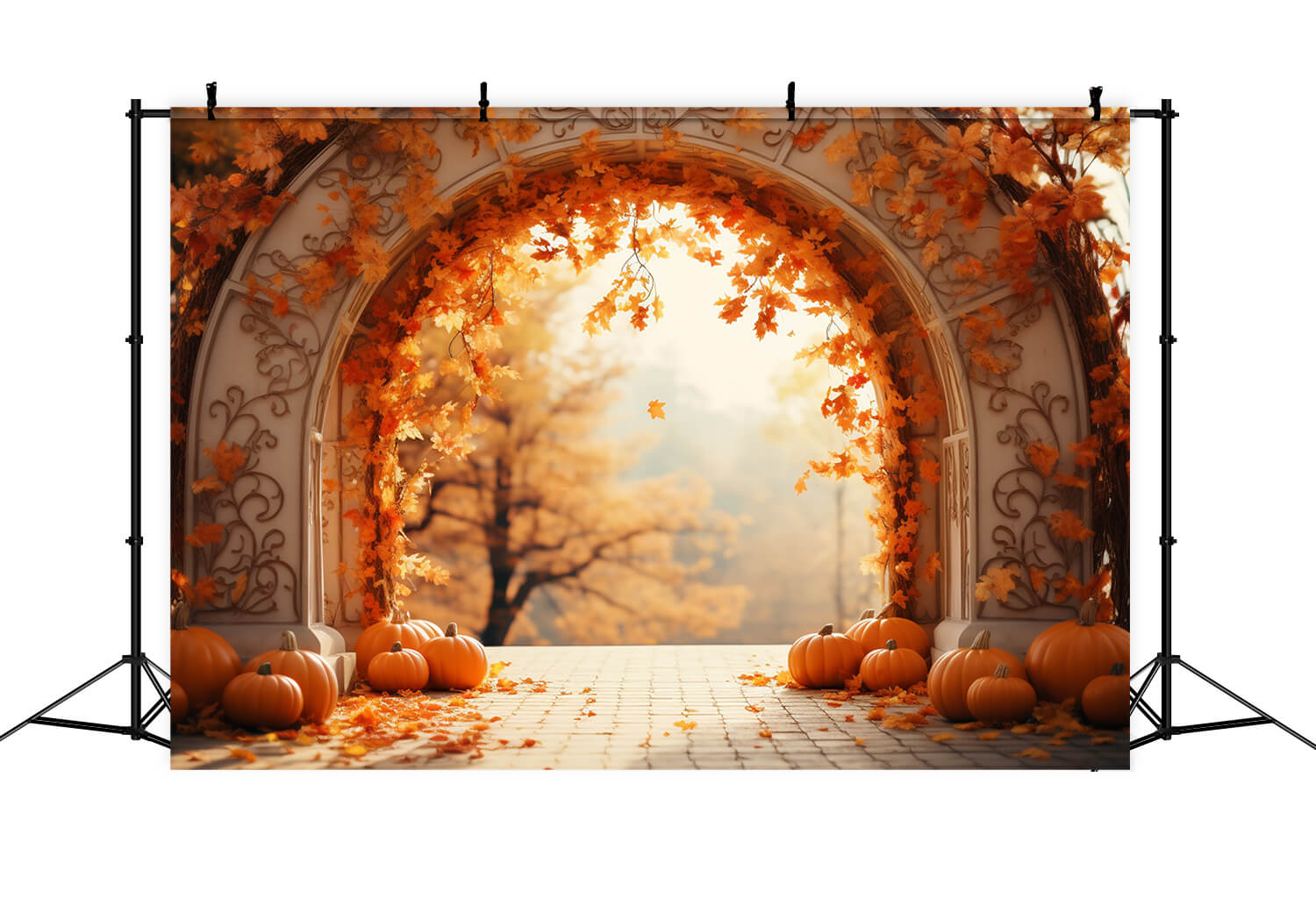 Maple Leaves Arch Pumpkins Autumn Backdrop RR7-178