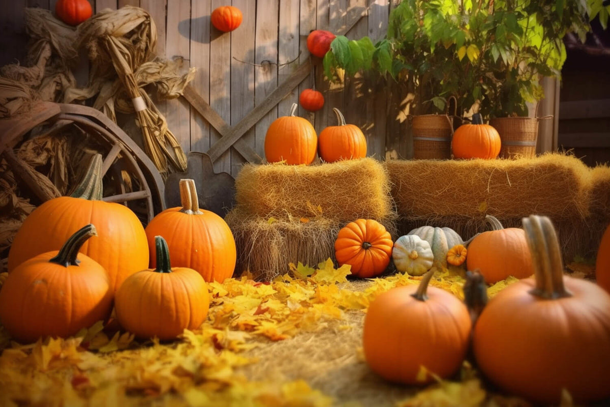 Autumn Barn Haystack Pumpkins Backdrop RR7-184