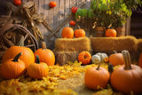 Autumn Barn Haystack Pumpkins Backdrop RR7-184