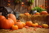 Harvest Fall Pumpkins Haystack Backdrop RR7-185