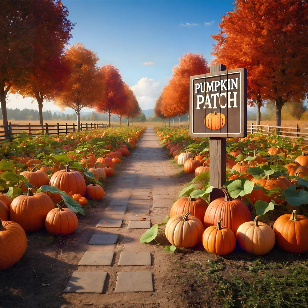 Pumpkin Patch Pathway Autumn Trees Backdrop RR7-282