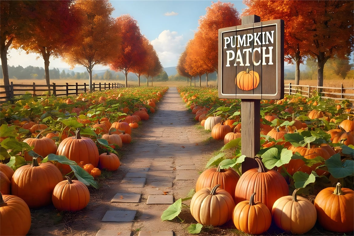 Pumpkin Patch Pathway Autumn Trees Backdrop RR7-282