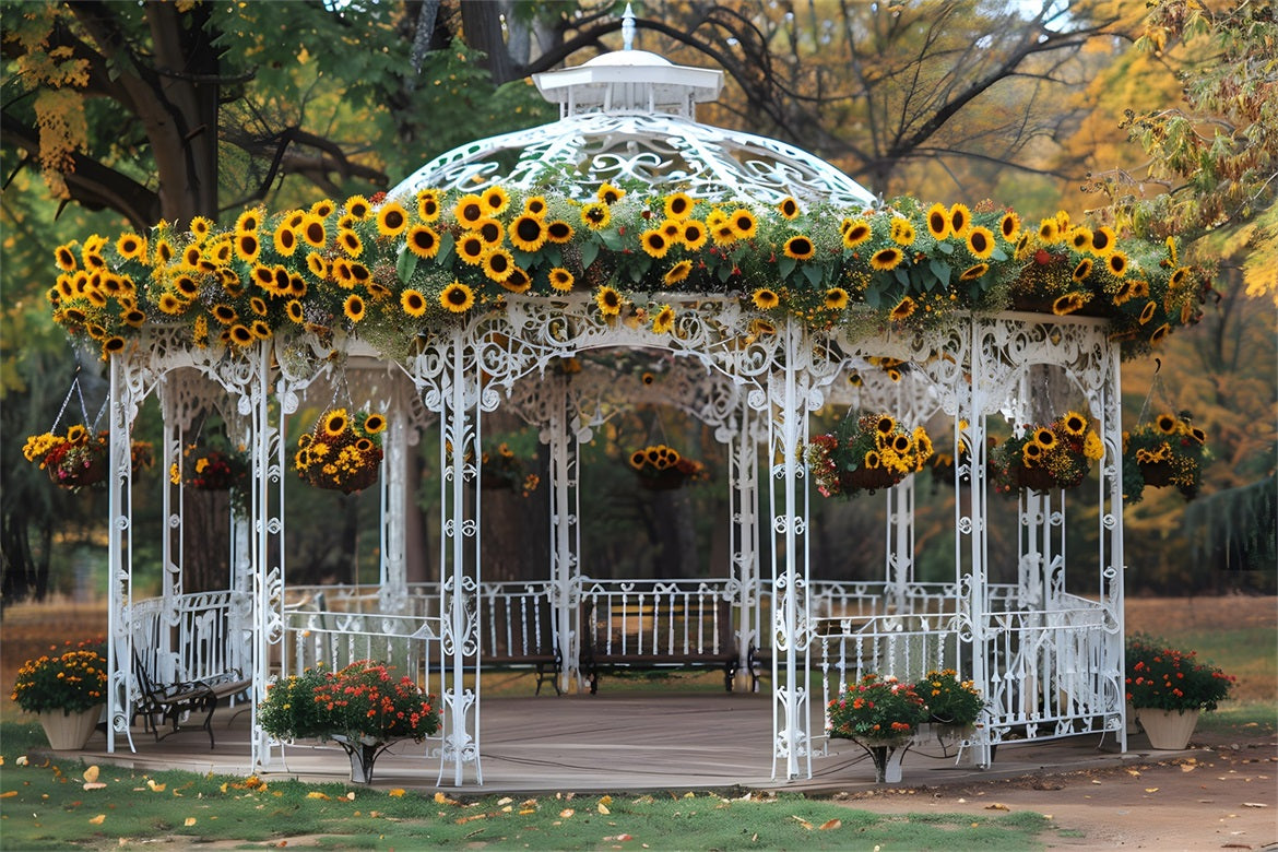 Sunflower Adorned Gazebo Autumn Park Backdrop RR7-294