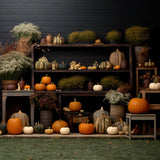 Cozy Autumn Display Pumpkins Flowers Backdrop RR7-314