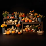 Fall Harvest Bounty Pumpkins Gourds Backdrop RR7-320