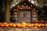 Autumn Evening Cozy Cabin Pumpkins Backdrop RR7-326