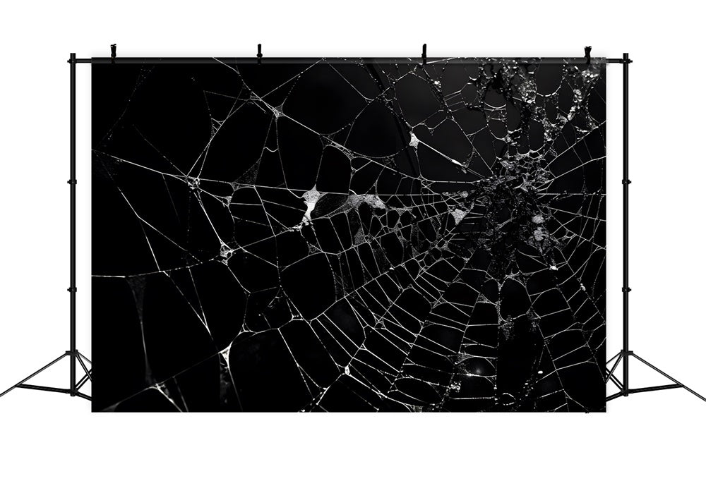 Halloween Spider Web Photography Backdrop RR7-482