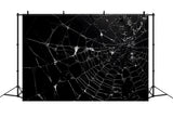 Halloween Spider Web Photography Backdrop RR7-482