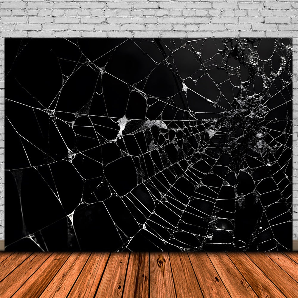 Halloween Spider Web Photography Backdrop RR7-482