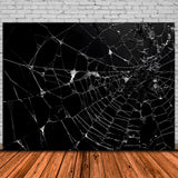 Halloween Spider Web Photography Backdrop RR7-482