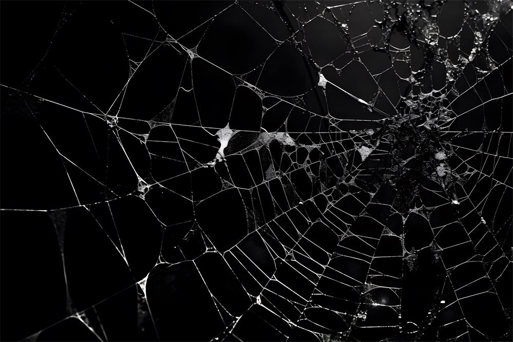 Halloween Spider Web Photography Backdrop RR7-482