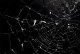 Halloween Spider Web Photography Backdrop RR7-482