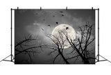 Halloween Night Dark Sky Moon Bats Backdrop RR7-487