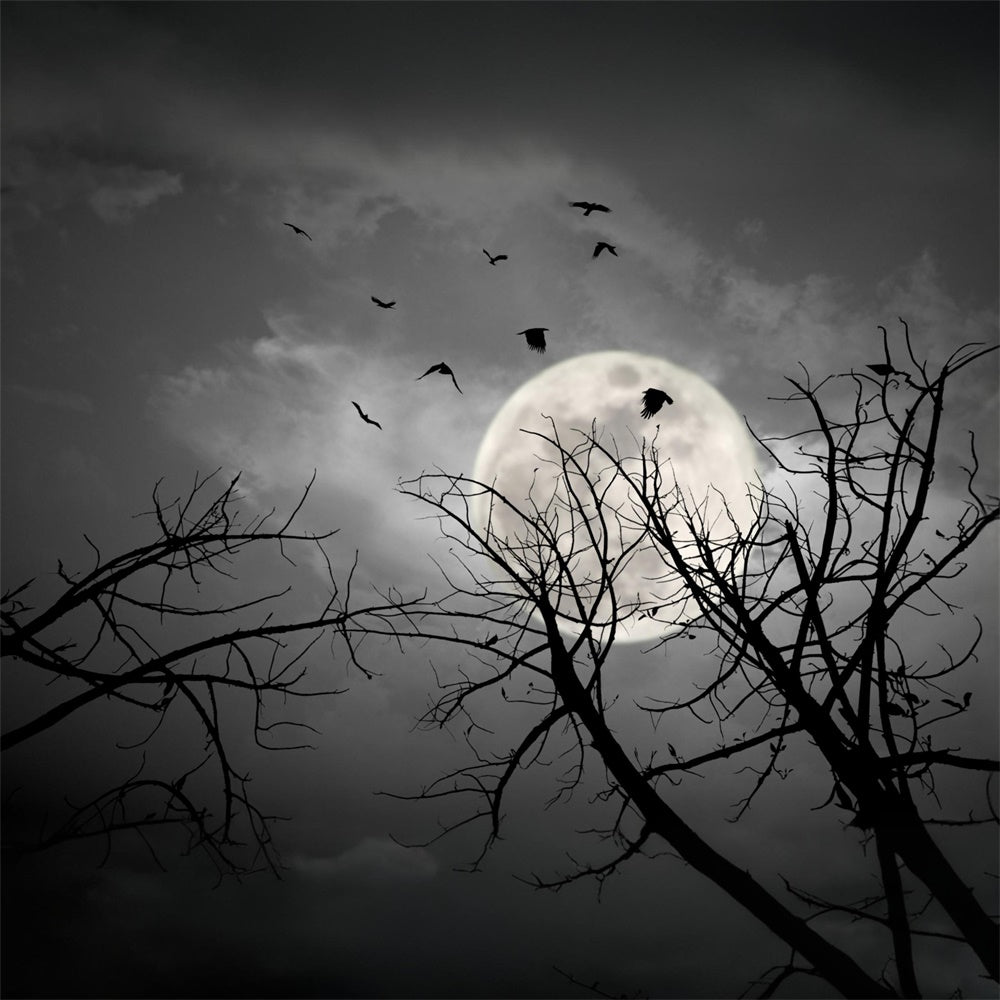 Halloween Night Dark Sky Moon Bats Backdrop RR7-487