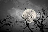 Halloween Night Dark Sky Moon Bats Backdrop RR7-487