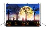 Halloween Moon Mysterious Cemetery Backdrop RR7-502