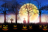 Halloween Moon Mysterious Cemetery Backdrop RR7-502