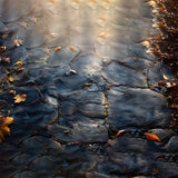 Sunny Slate Path Autumn Leaves Floor Backdrop RR7-523