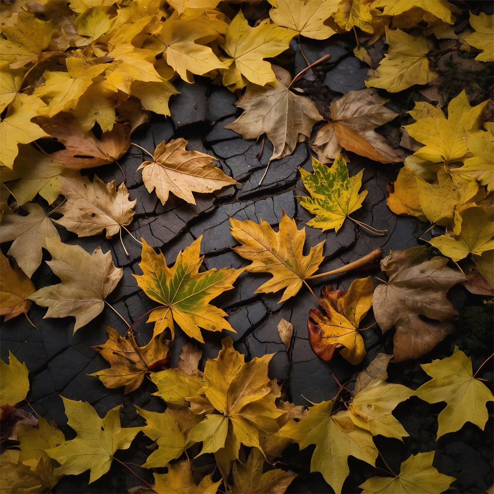 Autumn Leaves On Dark Land Floor Backdrop RR7-524