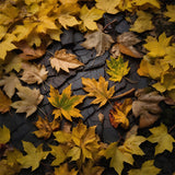 Autumn Leaves On Dark Land Floor Backdrop RR7-524