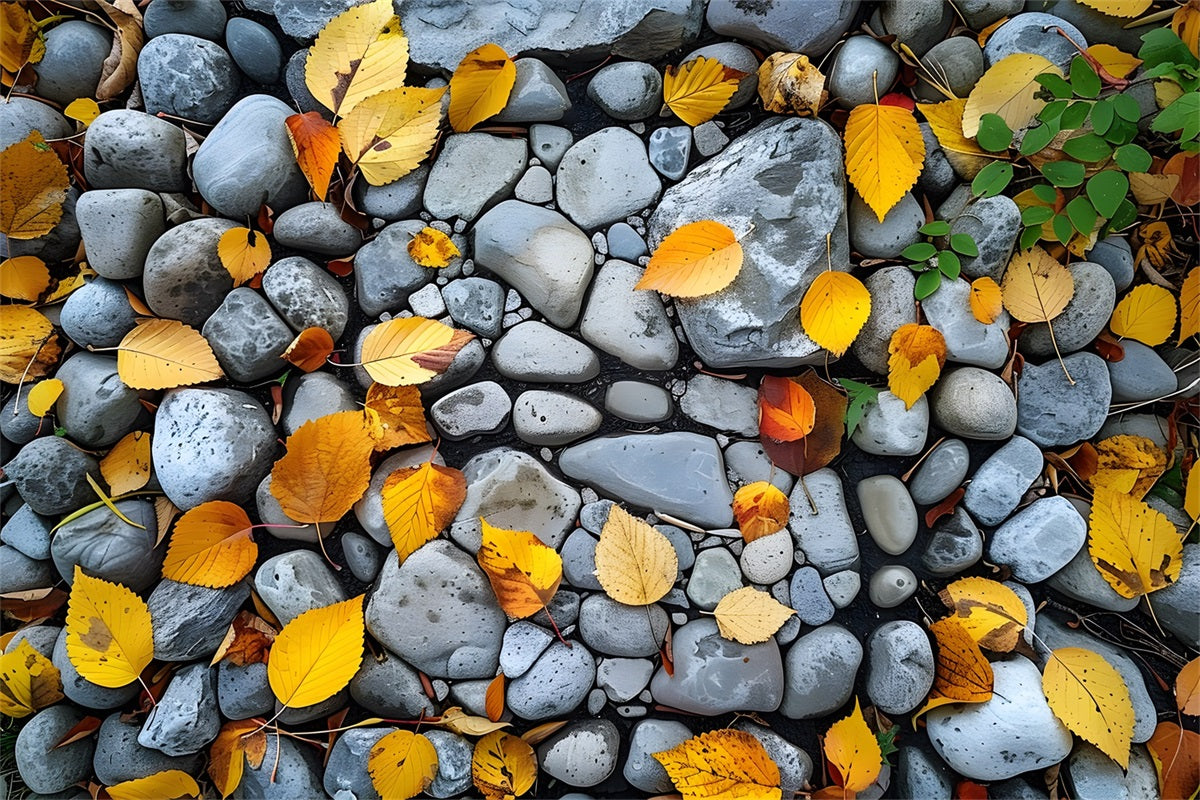 Stoned Drop Leaves Fabric Floor Backdrop RR7-525