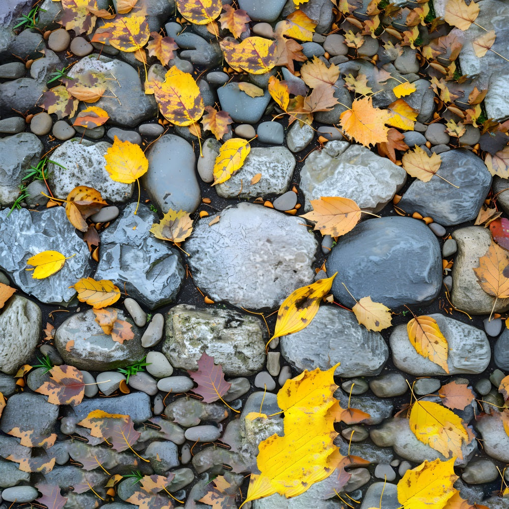 Fall Falling Leaves Rock Floor Backdrop RR7-526