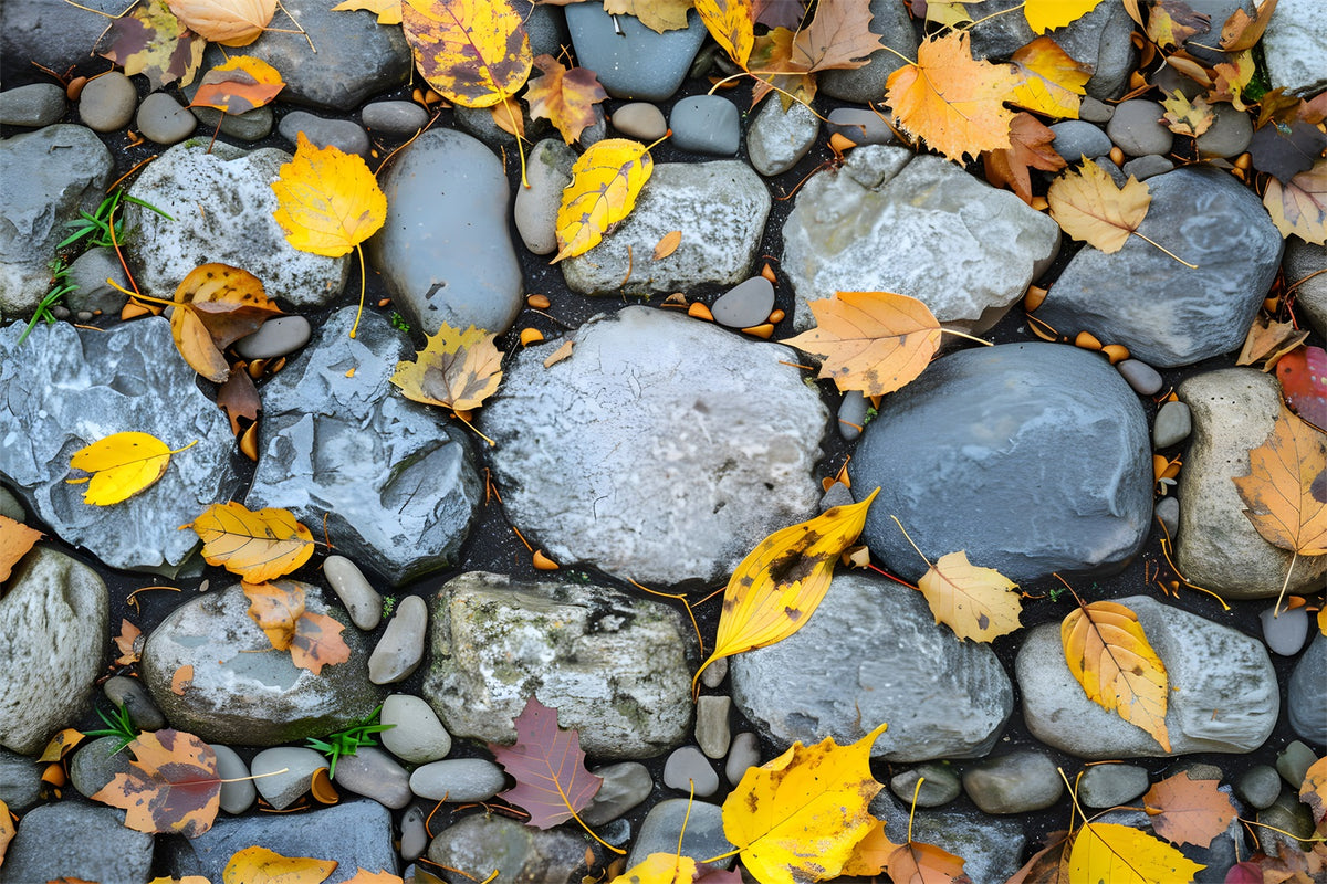 Fall Falling Leaves Rock Floor Backdrop RR7-526