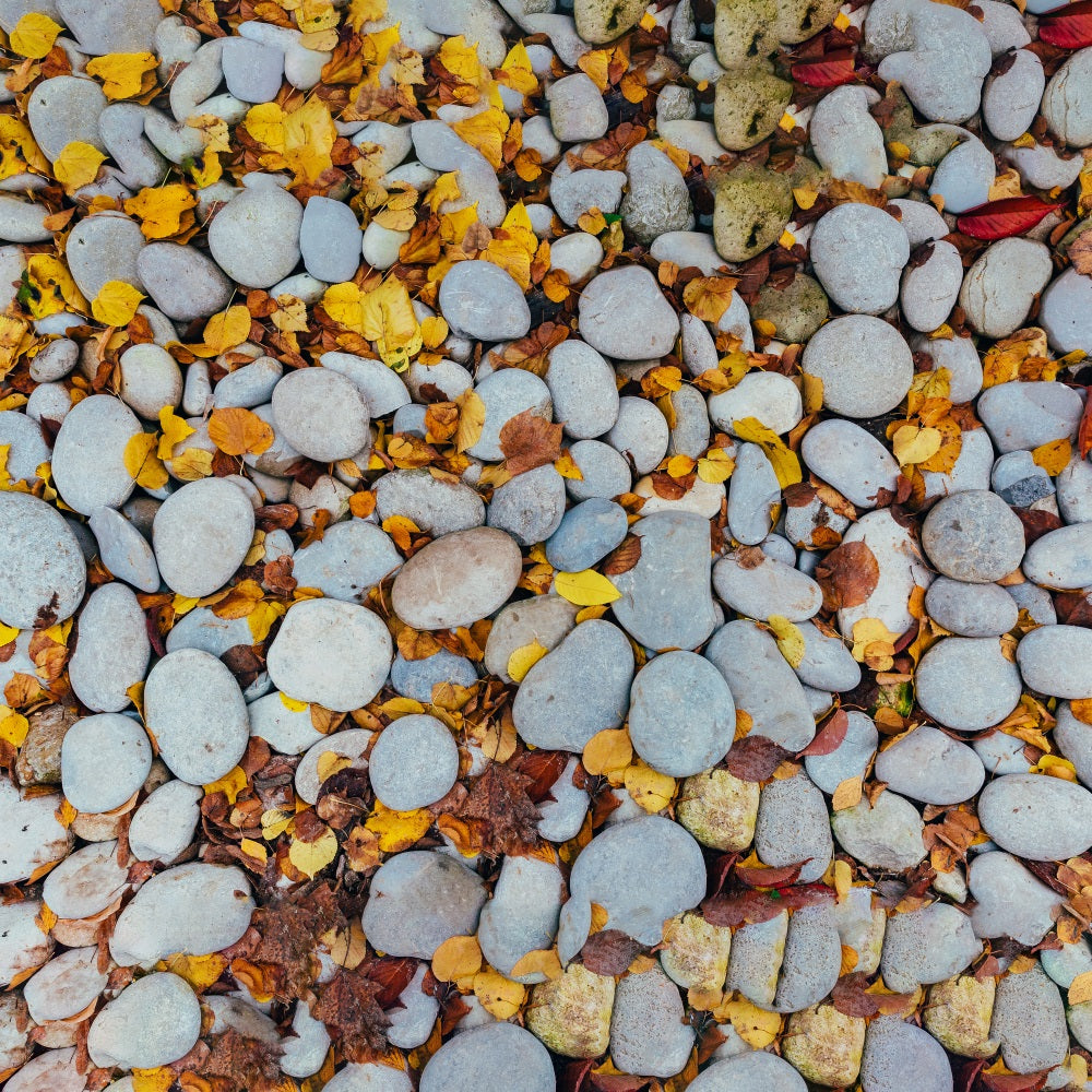 Leaves Staggered Pebble Floor Backdrop RR7-528