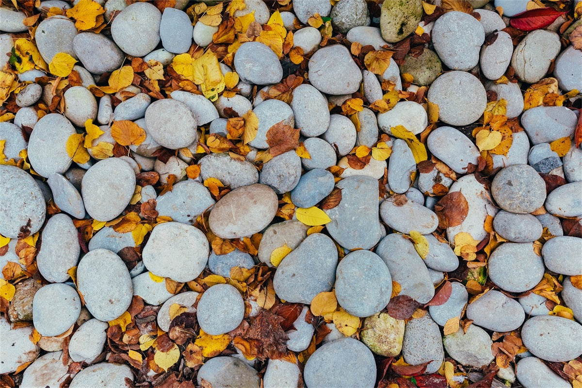 Leaves Staggered Pebble Floor Backdrop RR7-528