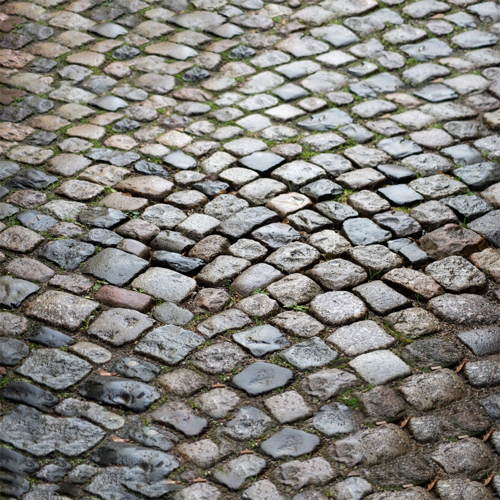 Wet After Rain Stone Floor Backdrop RR7-529