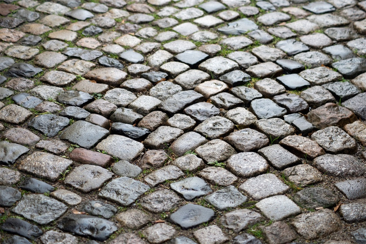 Wet After Rain Stone Floor Backdrop RR7-529