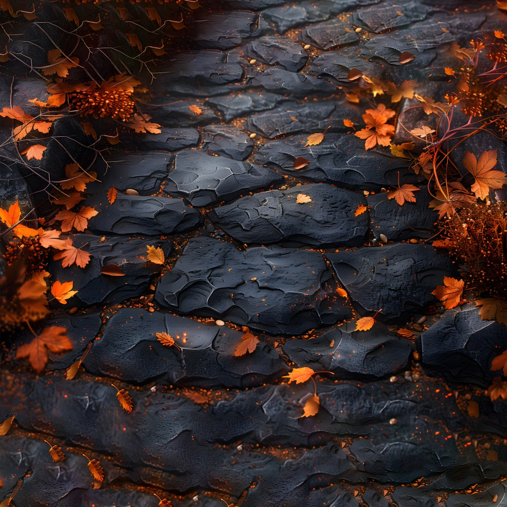 Black Slate Path Maple Leaves Floor Backdrop RR7-534