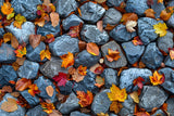 Maple Leaves Light Stones Floor Backdrop RR7-535