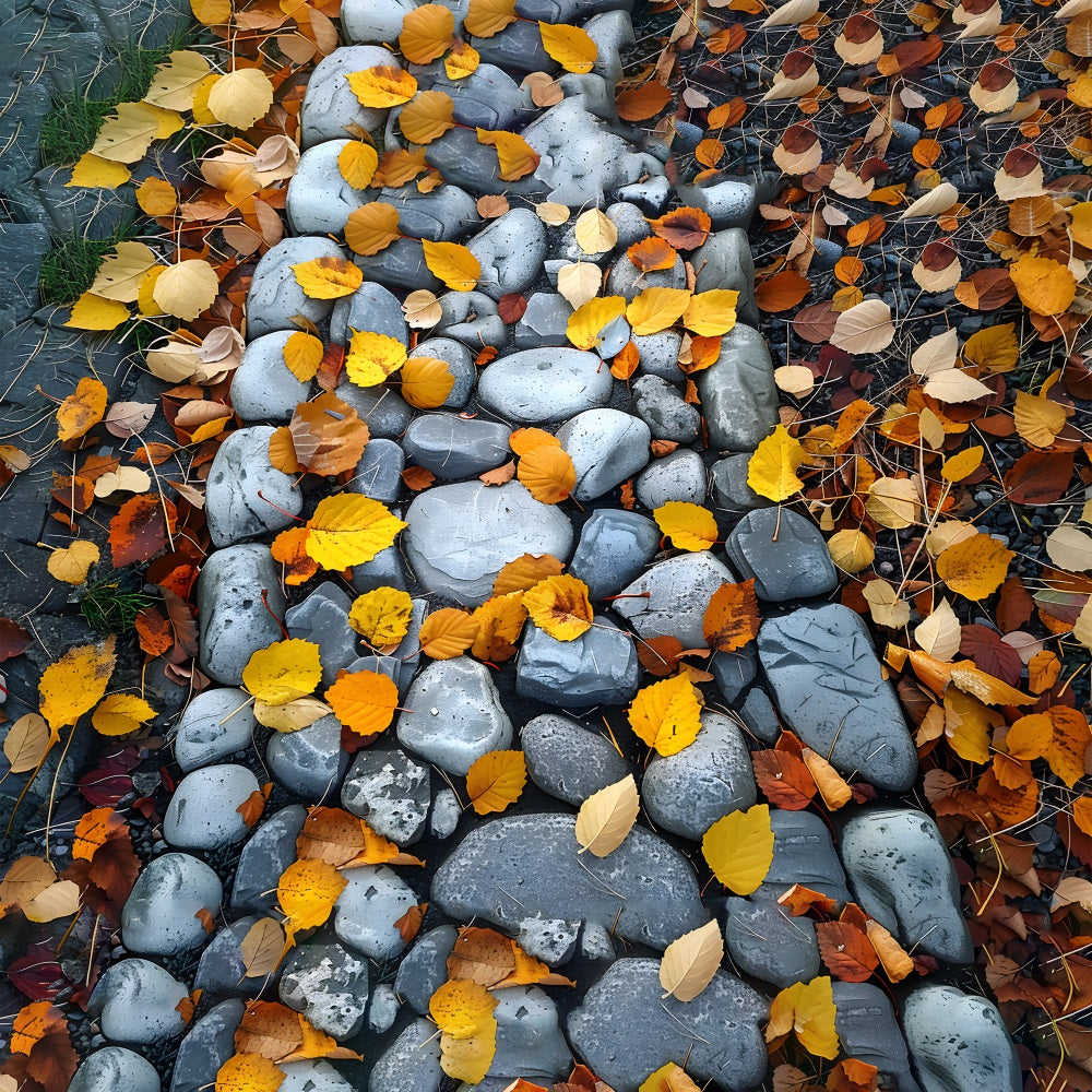 Withered Leaves Cobblestone Trail Floor Backdrop RR7-536