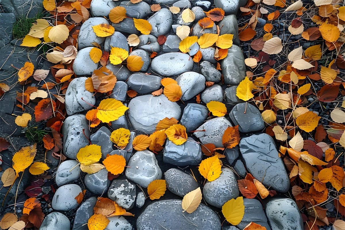 Withered Leaves Cobblestone Trail Floor Backdrop RR7-536