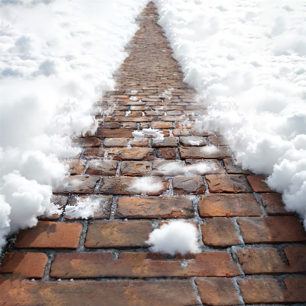 Fluffy Soft Snowy Trails Floor Backdrop RR7-539