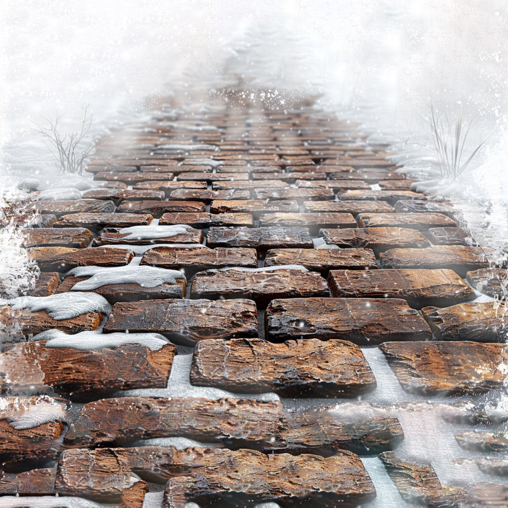 Snowy Stone Tile Trail Floor Backdrop RR7-540