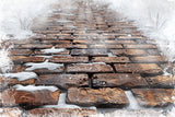 Snowy Stone Tile Trail Floor Backdrop RR7-540