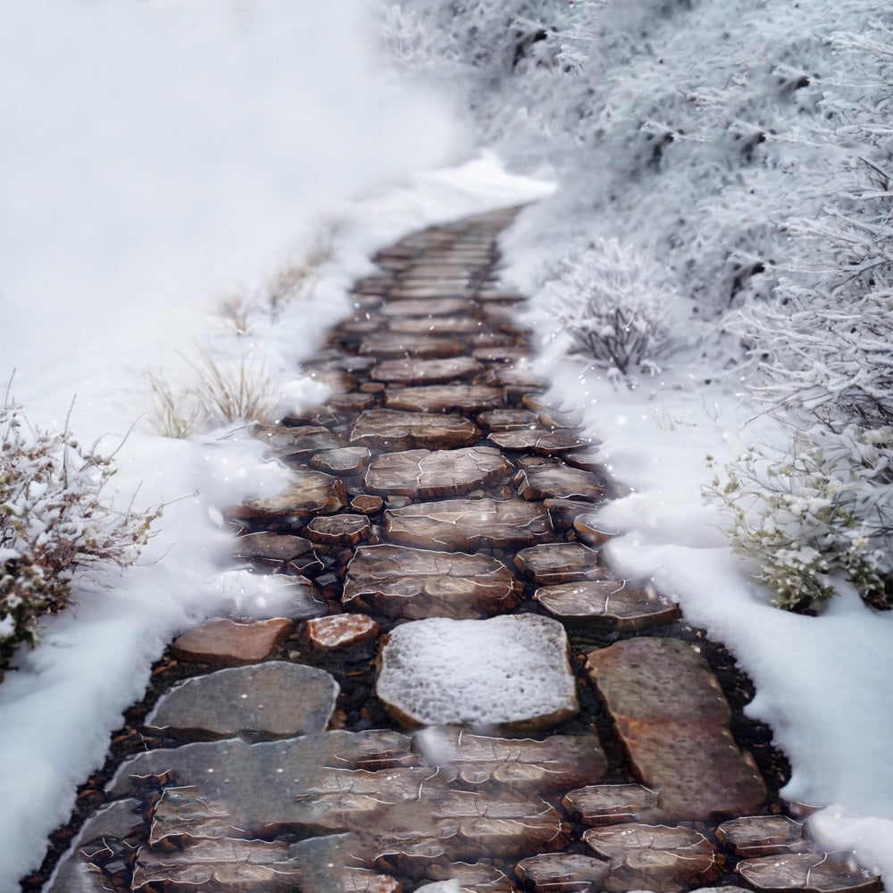 Snowy Vegetation Mountain Path Floor Backdrop RR7-547