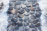 Ice Cubed Slate Trail Fabric Floor Backdrop RR7-548