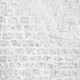 Whitewashed Rustic Brick Floor Backdrop RR7-553