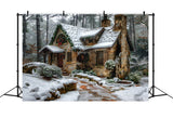 Christmas Rustic Stone Cottage Backdrop RR7-573